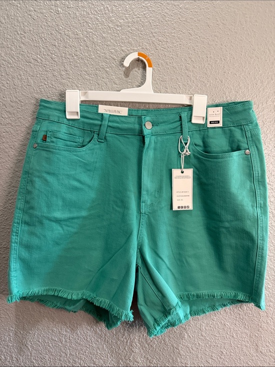 Judy Blue Pants - Judy Blue Women's Aquamarine Frayed Hem Casual Shorts size 2XL